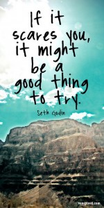 If it scares you, it might be a good thing to try. Seth Godin